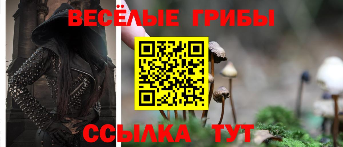 Галлюциногенные грибы ЛСД  Вход с VPN  Владимир 