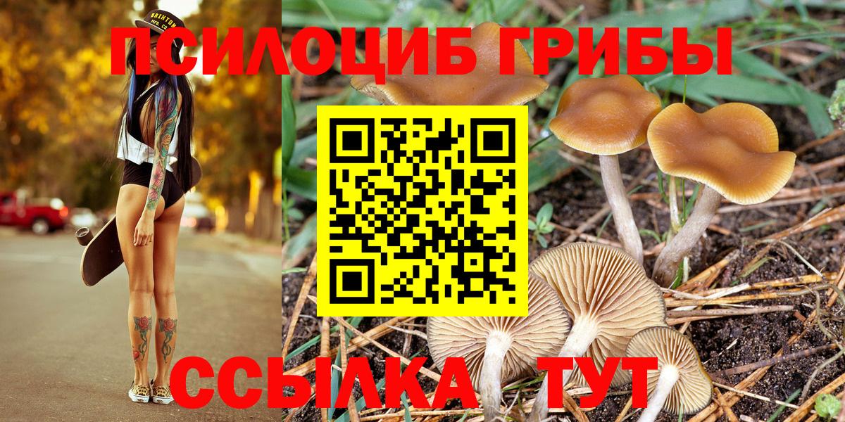 Псилоцибиновые грибы Cubensis Владимир